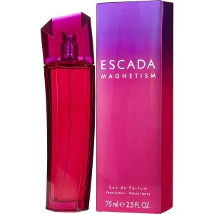 ESCADA MAGNETISMO